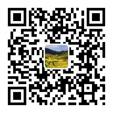 二维码图片